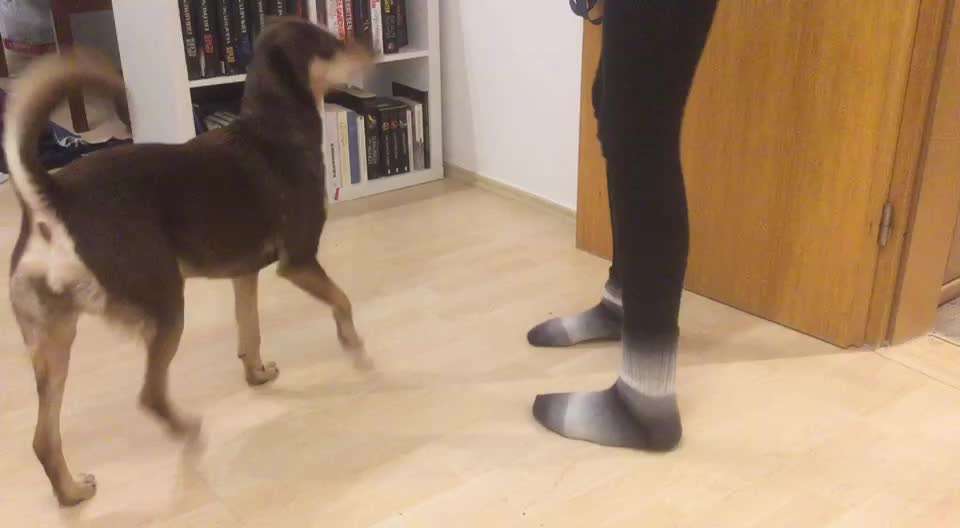 𝕋ℝ𝕀ℂ𝕂 ℂℍ𝔸𝕃𝕃𝔼ℕ𝔾𝔼 ℕℝ. 𝟙-Beitrag-Bild