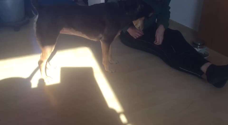 Trick Challenge Nr. 8-Beitrag-Bild