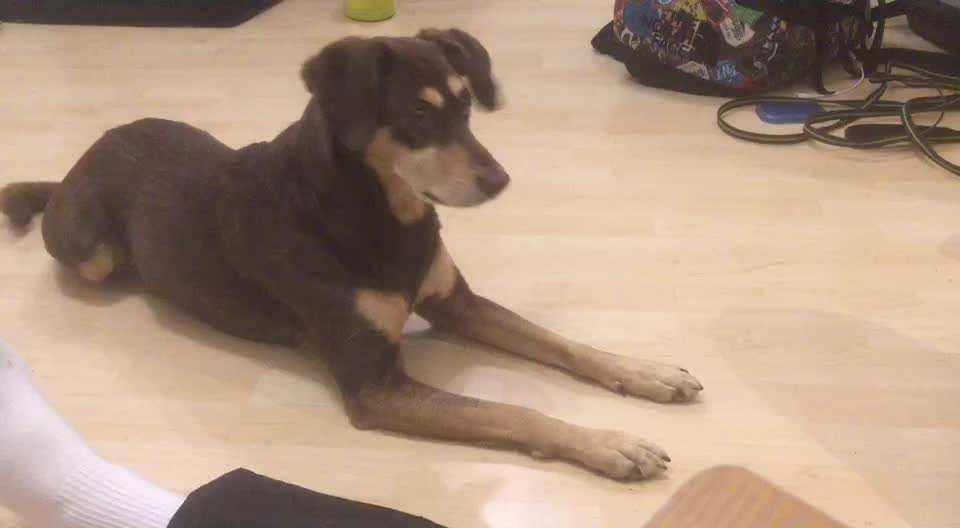 TRICK CHALLENGE NR. 10-Beitrag-Bild