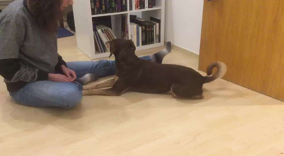 𝕋ℝ𝕀ℂ𝕂 ℂℍ𝔸𝕃𝕃𝔼ℕ𝔾𝔼 ℕℝ. 𝟚-Beitrag-Bild