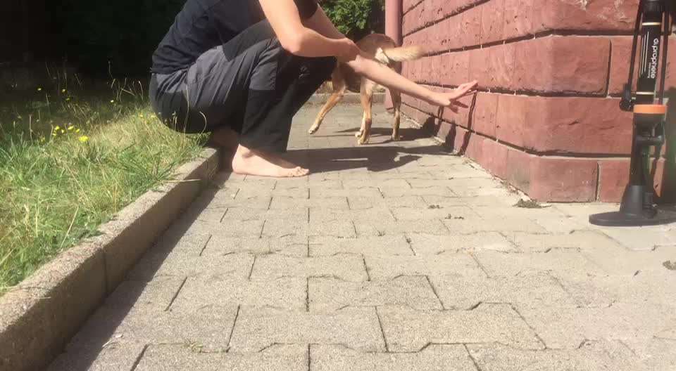 Trick Callenge Nr. 17-Beitrag-Bild