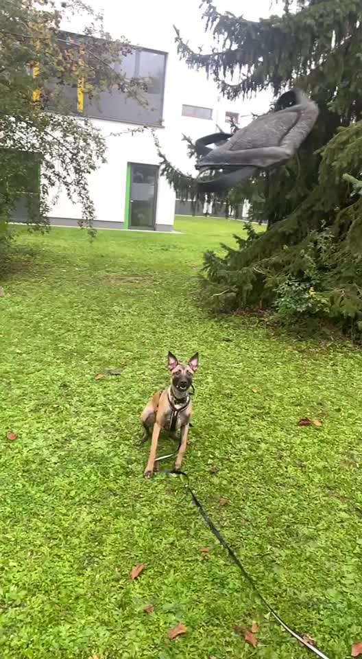 15. Video Challenge.  In SloMo die Welt erkunden!-Beitrag-Bild