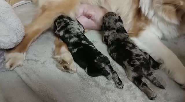 Ungewollte Deckung-Beitrag-Bild