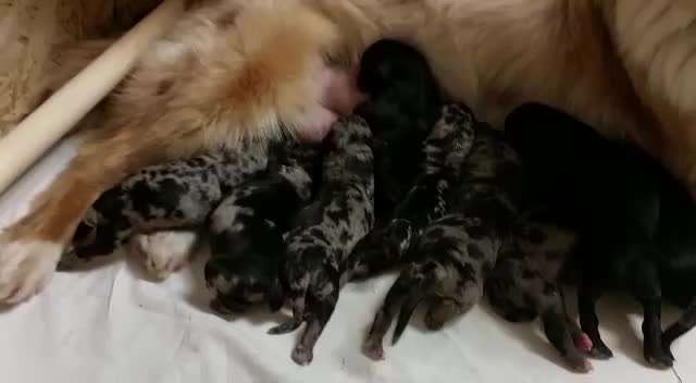 Ungewollte Deckung-Beitrag-Bild