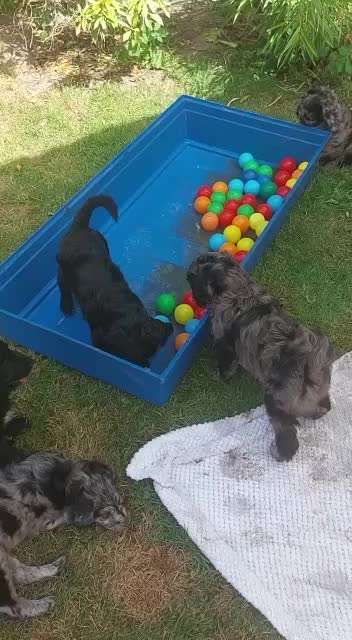 Ungewollte Deckung-Beitrag-Bild