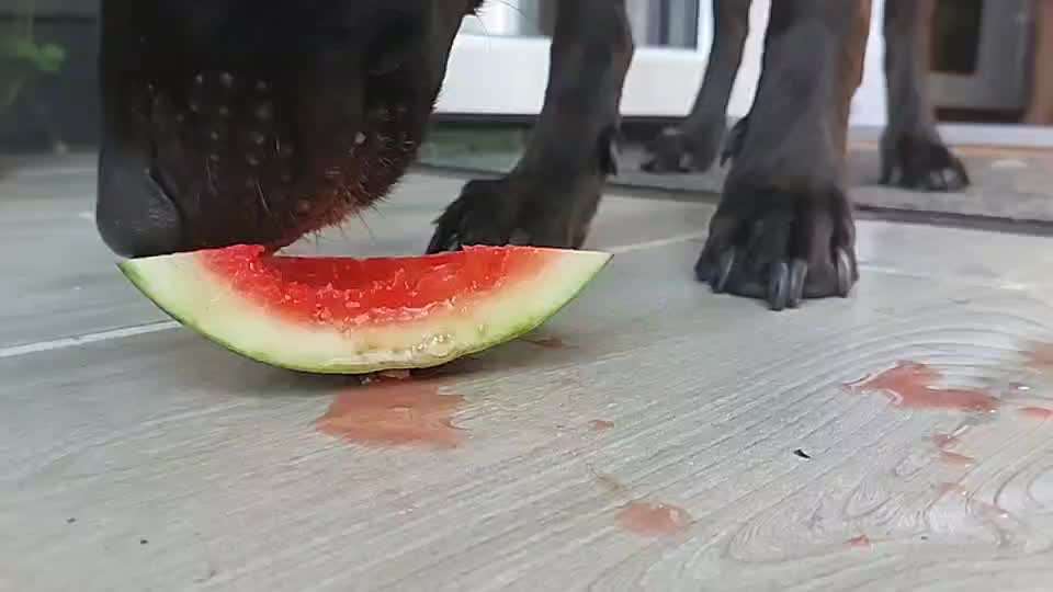 Video Challenge Nr. 4 - Lecker, Lecker-Beitrag-Bild