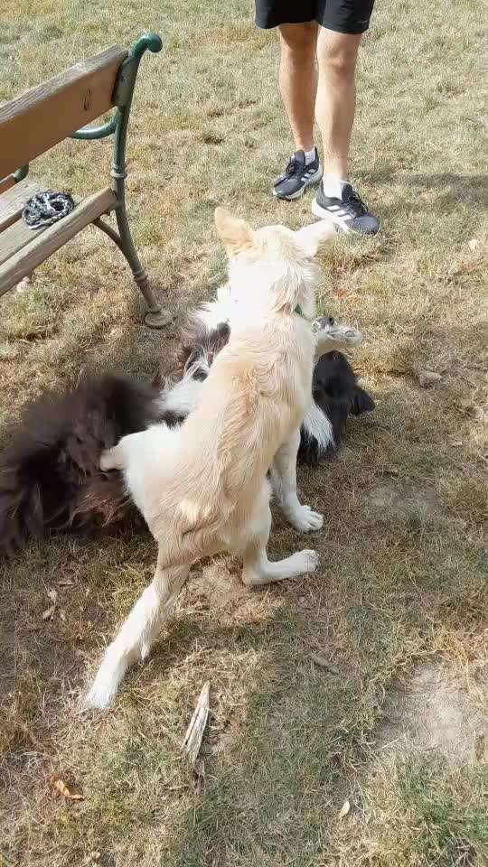 Analyse & Interpretation von Verhalten-Beitrag-Bild