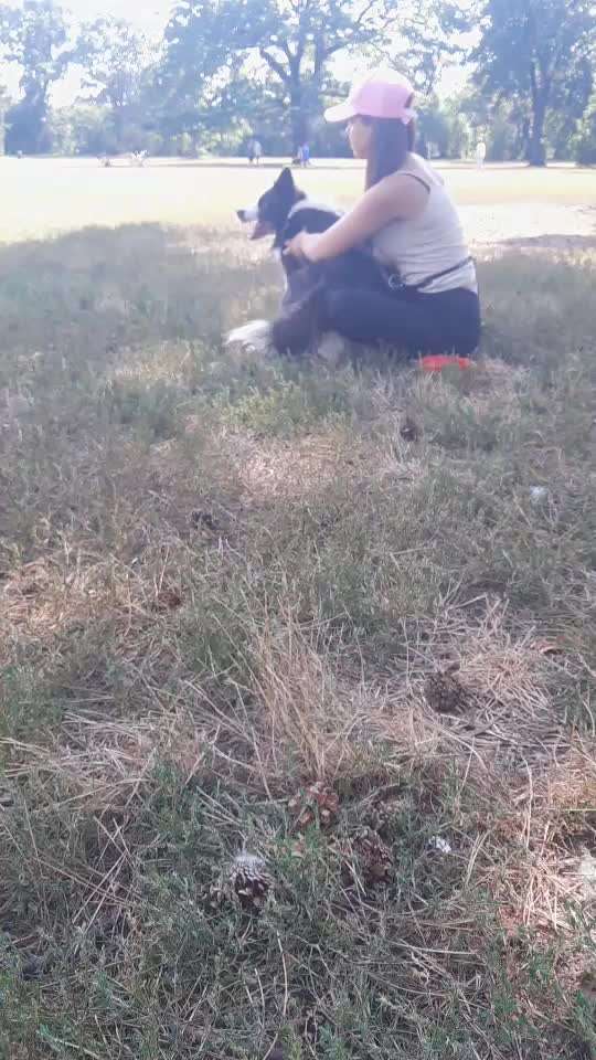 Analyse & Interpretation von Verhalten-Beitrag-Bild