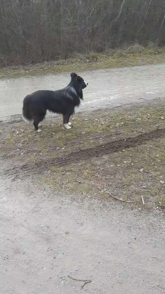 Immer erst noch Gucken...-Beitrag-Bild