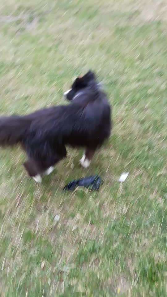 Ursache fürs Anspringen finden und beheben-Beitrag-Bild