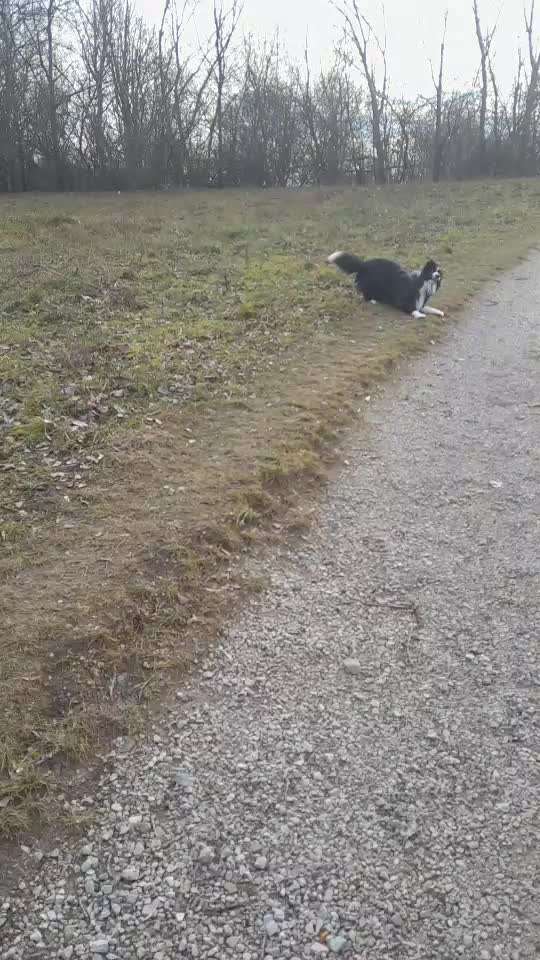 Immer erst noch Gucken...-Beitrag-Bild