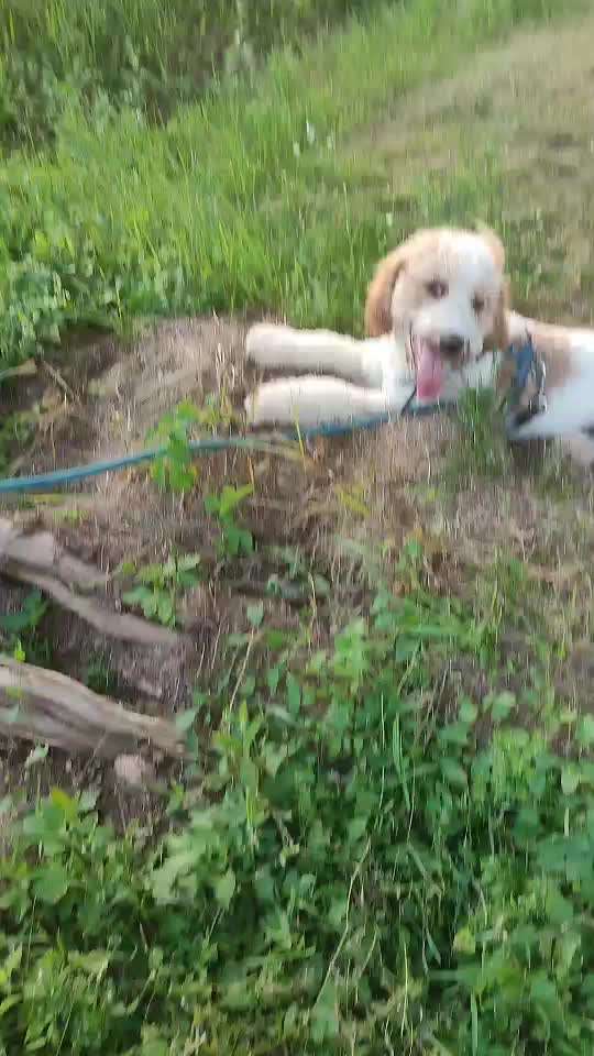 Gemeinsame Impulkontrolle Übung Nr.24-Beitrag-Bild