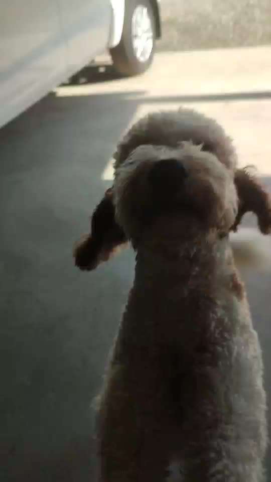 Veteranenzone - Koffer packen für fortgeschrittene-Beitrag-Bild