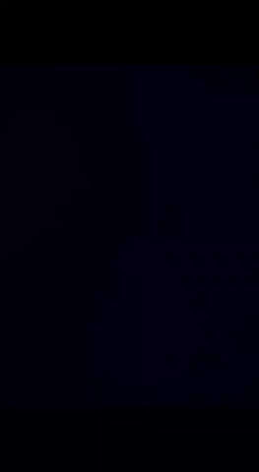 Action-Fun Hund- Aventskalender-Beitrag-Bild