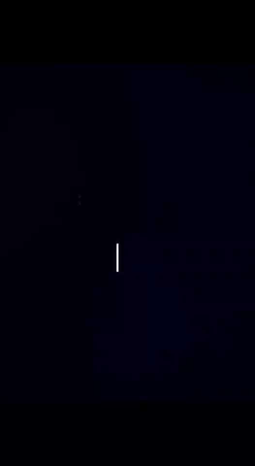 Action-Fun Hund- Aventskalender-Beitrag-Bild