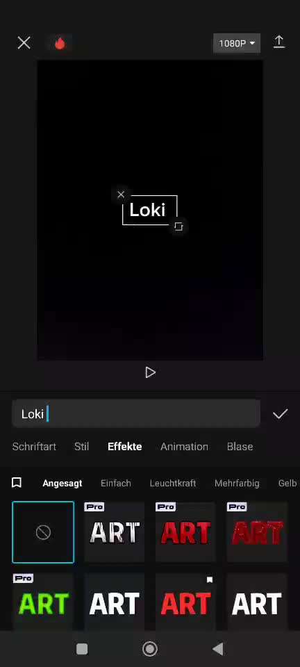 Action-Fun Hund- Aventskalender-Beitrag-Bild