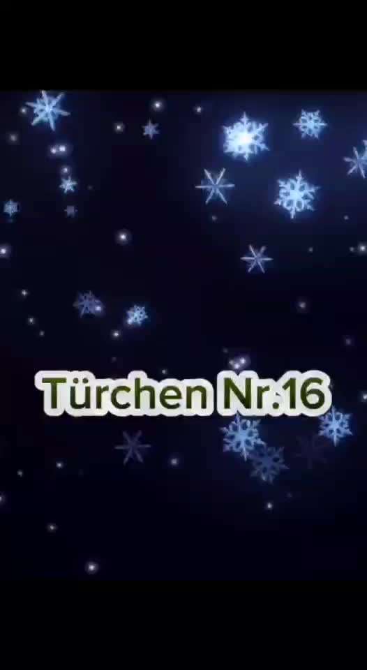 Action-Fun Hund- Aventskalender-Beitrag-Bild