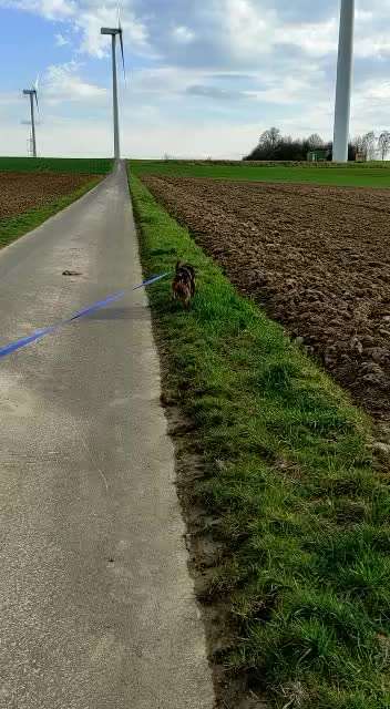 Lucy und das Jagdgeschrei-Beitrag-Bild