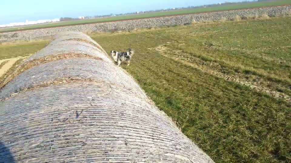 Spielideen gesucht-Beitrag-Bild