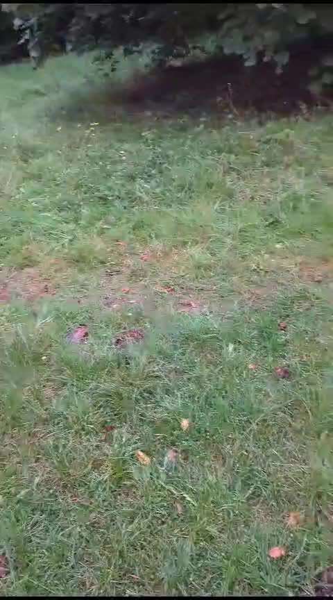 46. Video Challenge - Trainingserfolg-Beitrag-Bild