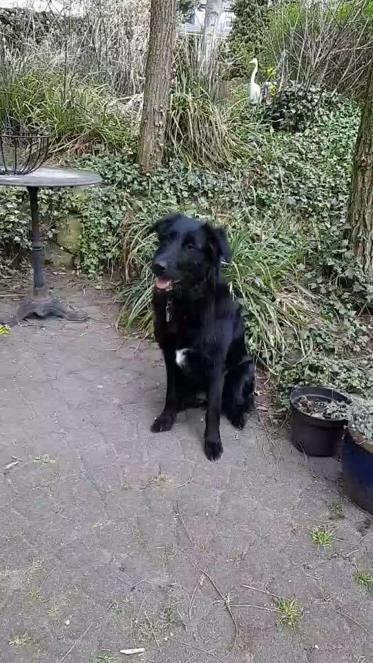 Fotochallenge Nr. 52 „Spring!“-Beitrag-Bild