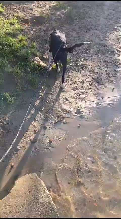 50. Video Challenge - Wasserscheu oder nicht-Beitrag-Bild