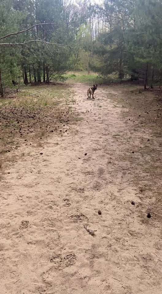 geistige Auslastung! Was macht ihr so!-Beitrag-Bild