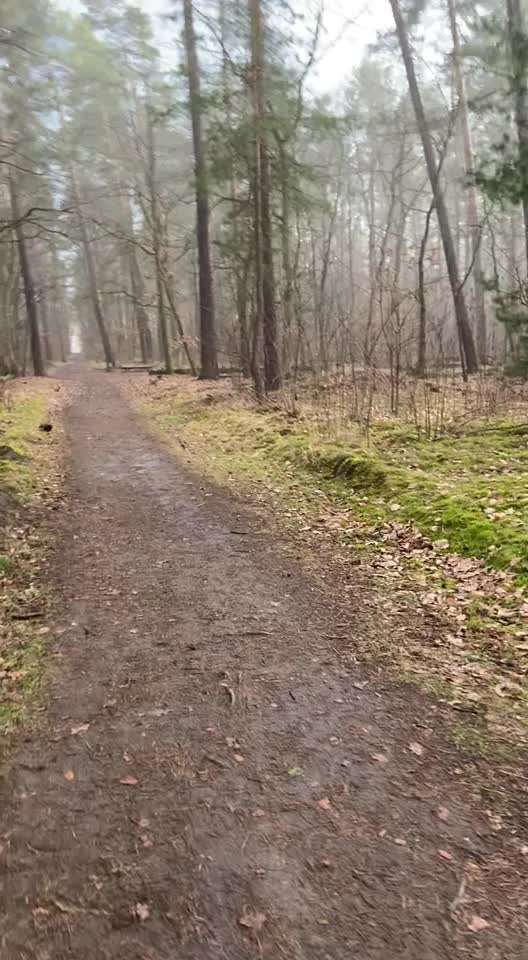 Die Dogorama Wochen Challenge: “Regenspaziergänge"-Beitrag-Bild