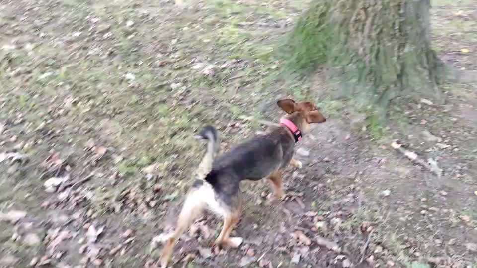 47. VIDEO Challenge ,,Luftsprünge"-Beitrag-Bild