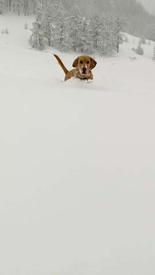 Unternehmungen im Schnee-Beitrag-Bild