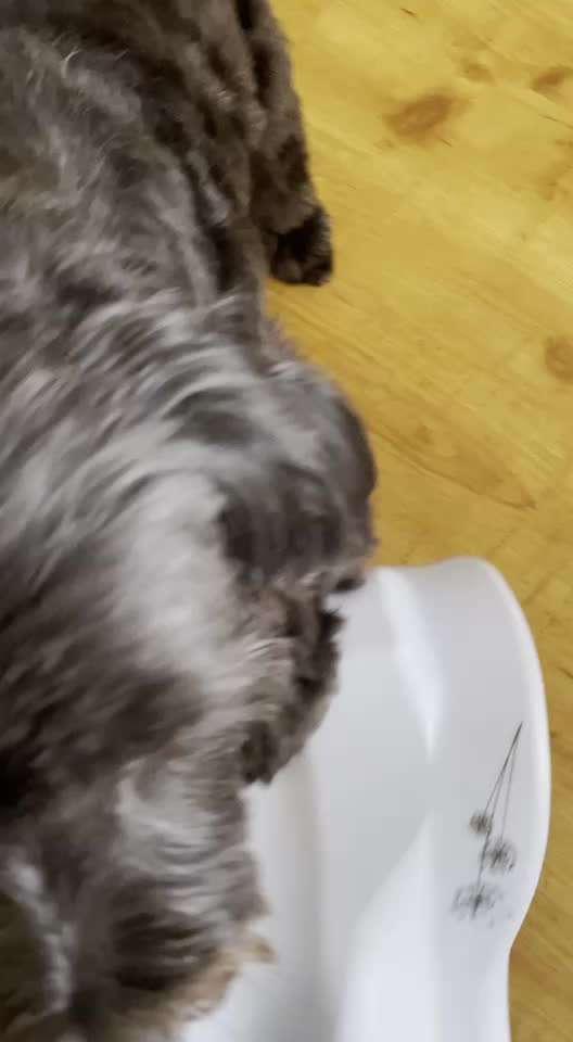 Trick- Challenge Nr. 31 ,Schieben‘-Beitrag-Bild