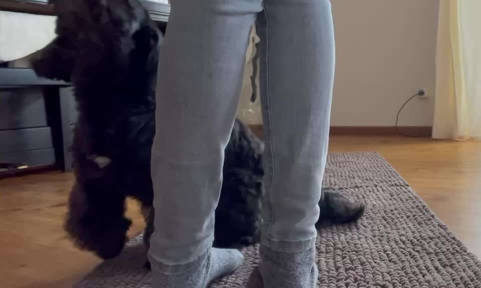 Trick Challenge Nr. 28: Slalom rückwärts-Beitrag-Bild