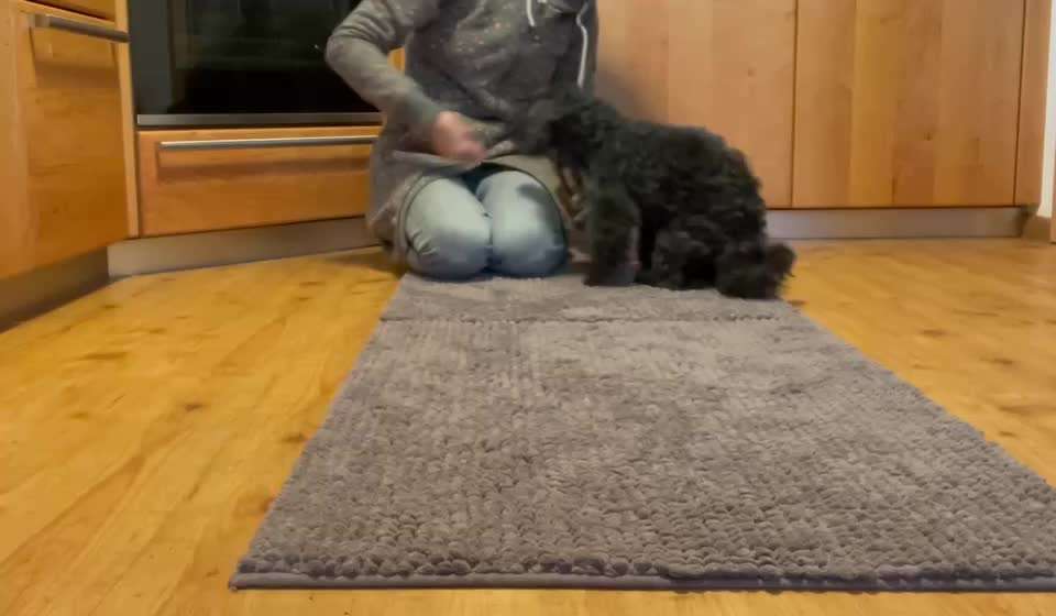 38. Trick Challenge: Slalom durch die Arme-Beitrag-Bild