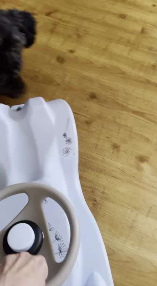 Trick- Challenge Nr. 31 ,Schieben‘-Beitrag-Bild