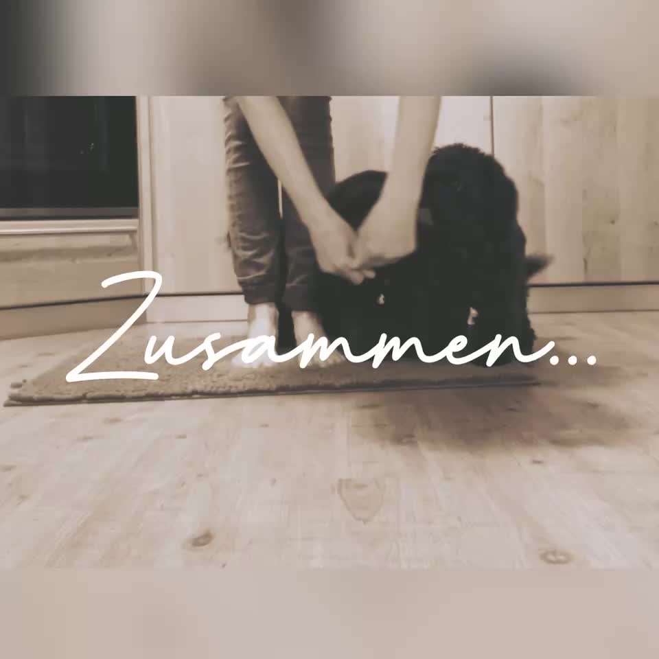 Trick Challenge Nr. 29 ,,TWIST"-Beitrag-Bild