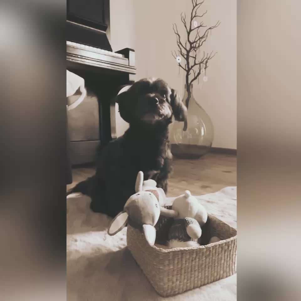 35. Trick Challenge - Schmeckts/ Zunge raus-Beitrag-Bild