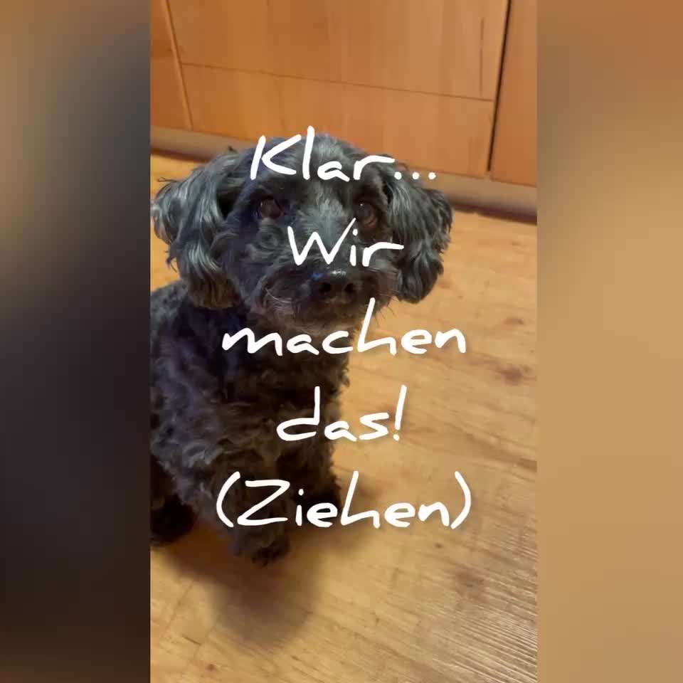 Trick Challenge NR 22 "Ziehen"-Beitrag-Bild