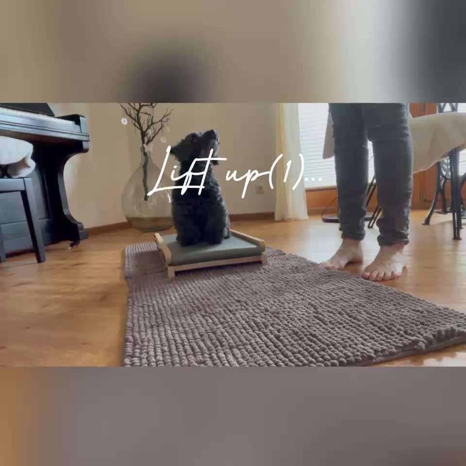 TRICK CHALLENGE NUMMER 30 " ZURÜCK "-Beitrag-Bild