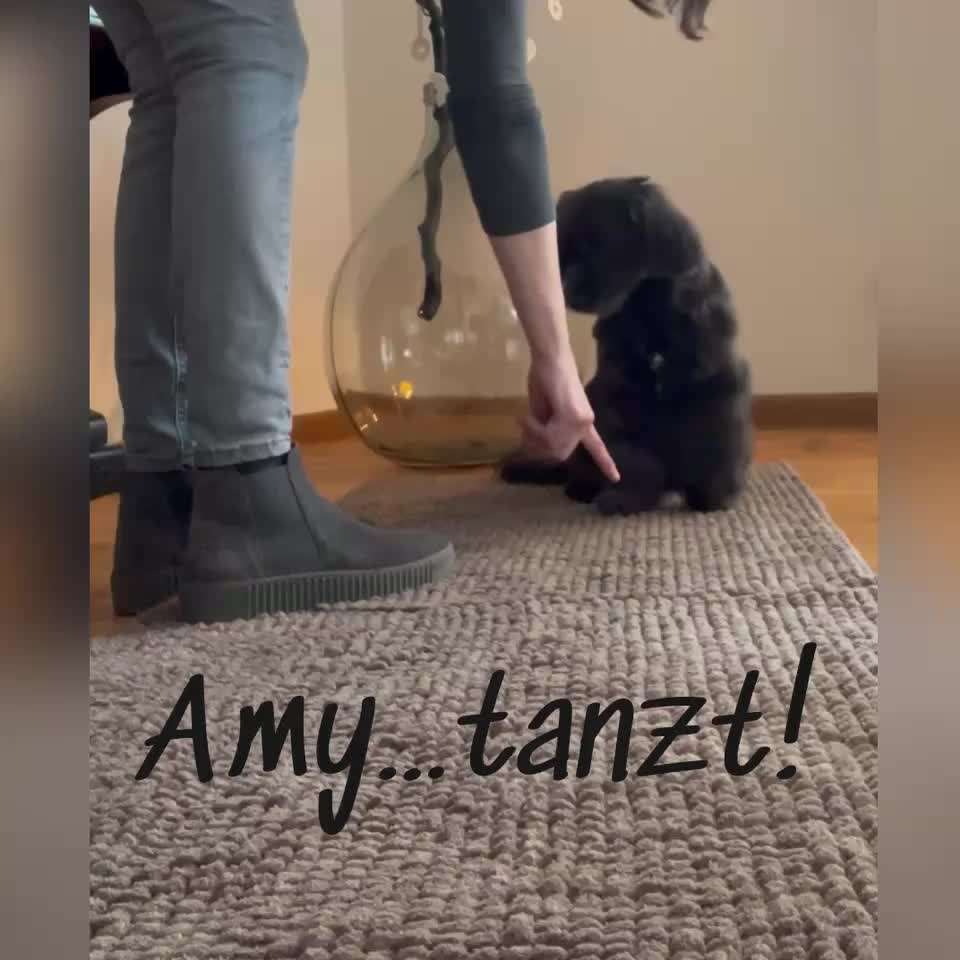 Trickchallenge Nr. 25 "Spanischer Schritt"-Beitrag-Bild