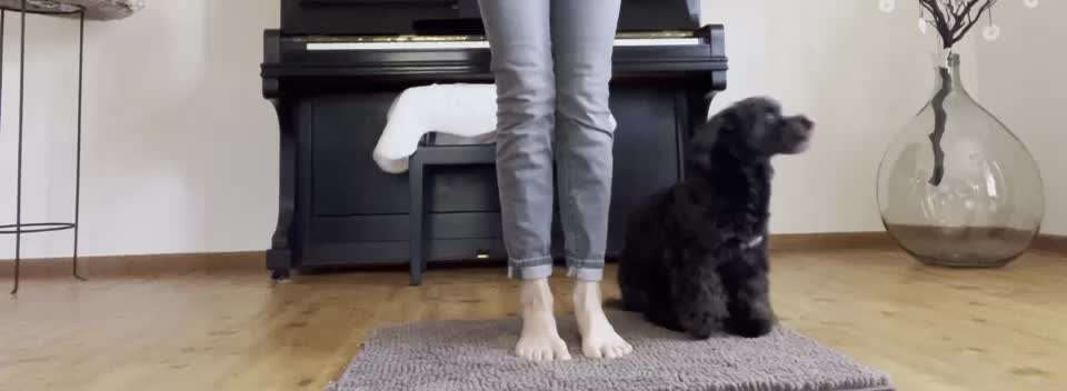 Trick Challenge Nr. 29 ,,TWIST"-Beitrag-Bild