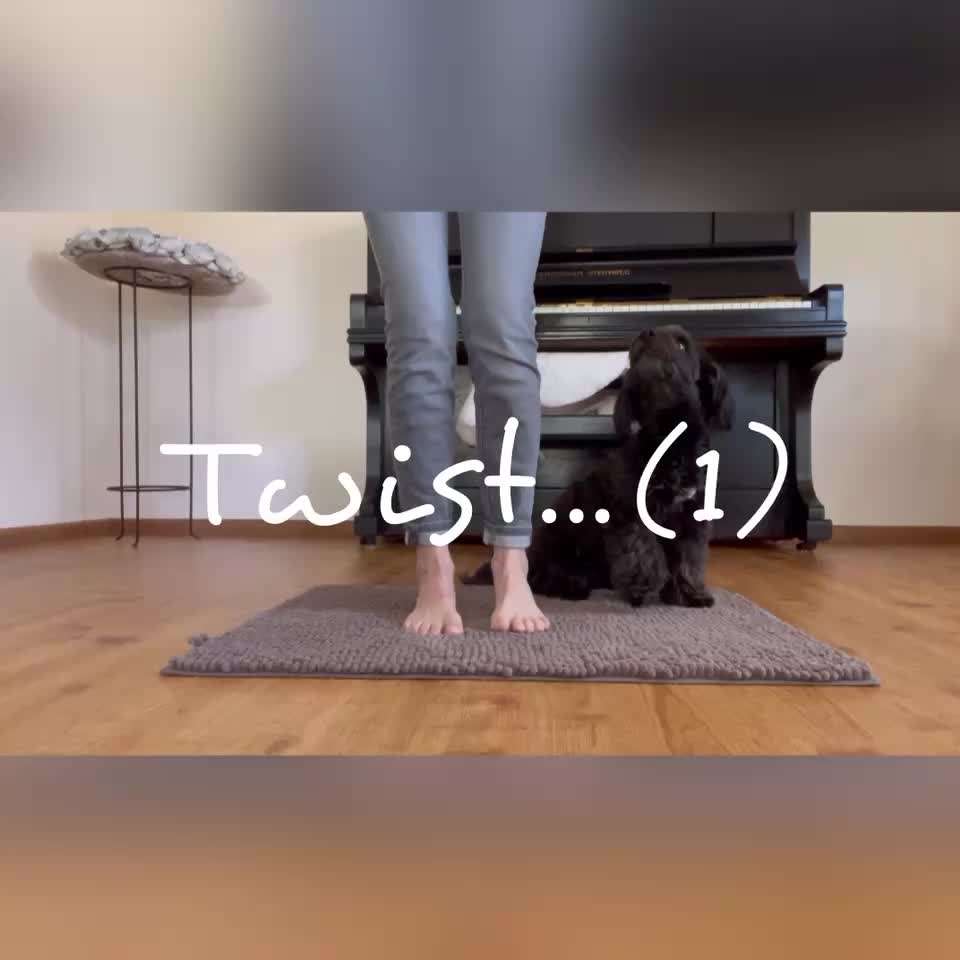 Trick Challenge Nr. 29 ,,TWIST"-Beitrag-Bild