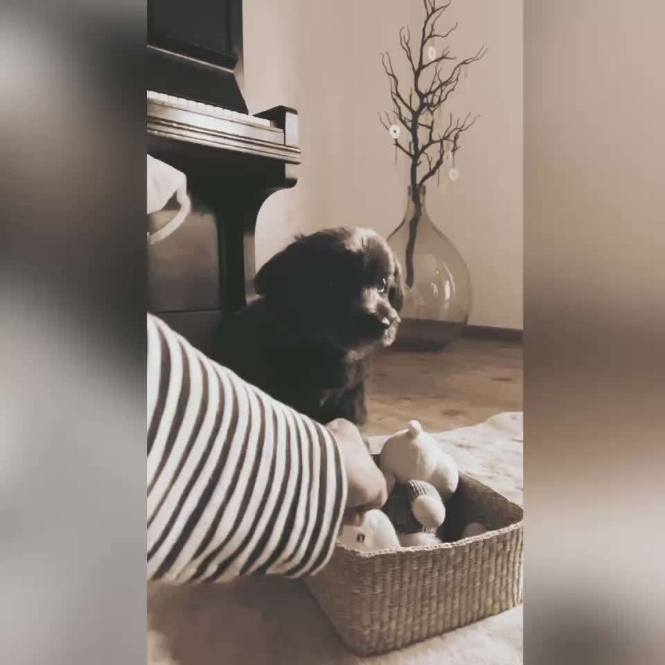 36. Trick-Challenge: Aufräumen!-Beitrag-Bild