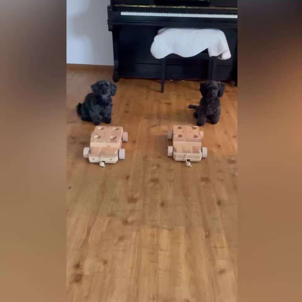 TRICK CHALLENGE NUMMER 30 " ZURÜCK "-Beitrag-Bild