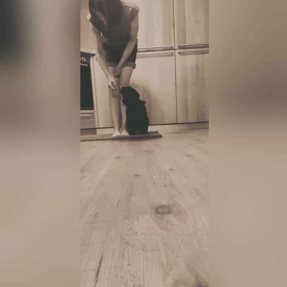 Trick Challenge Nr. 29 ,,TWIST"-Beitrag-Bild