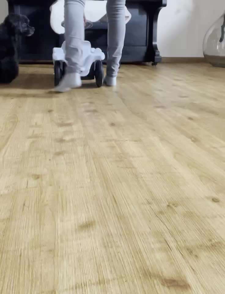 Top Dog-der Live Ticker Thread-Beitrag-Bild