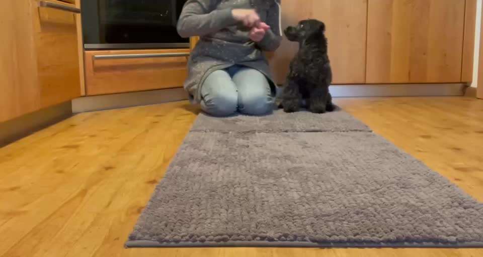 38. Trick Challenge: Slalom durch die Arme-Beitrag-Bild