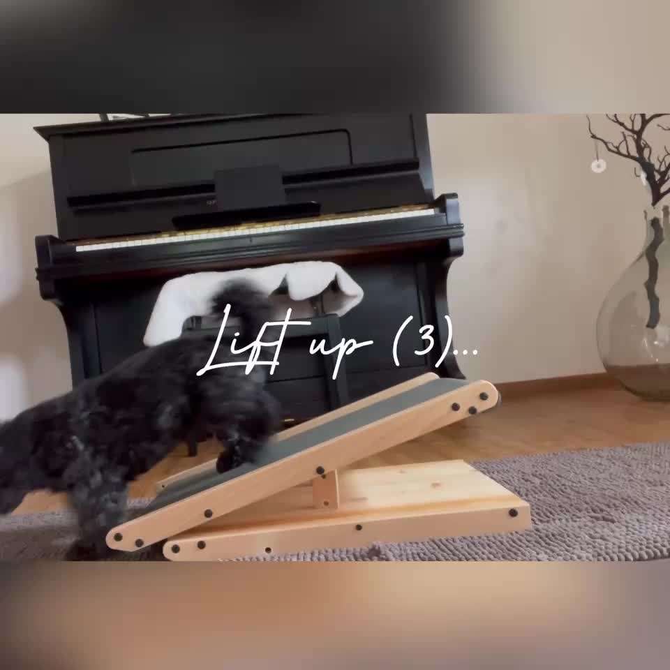 TRICK CHALLENGE NUMMER 30 " ZURÜCK "-Beitrag-Bild