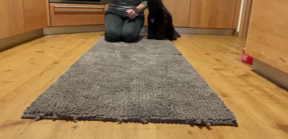 38. Trick Challenge: Slalom durch die Arme-Beitrag-Bild