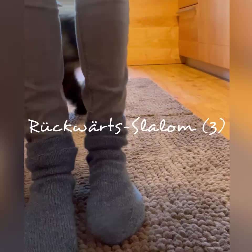 Trick Challenge Nr. 28: Slalom rückwärts-Beitrag-Bild