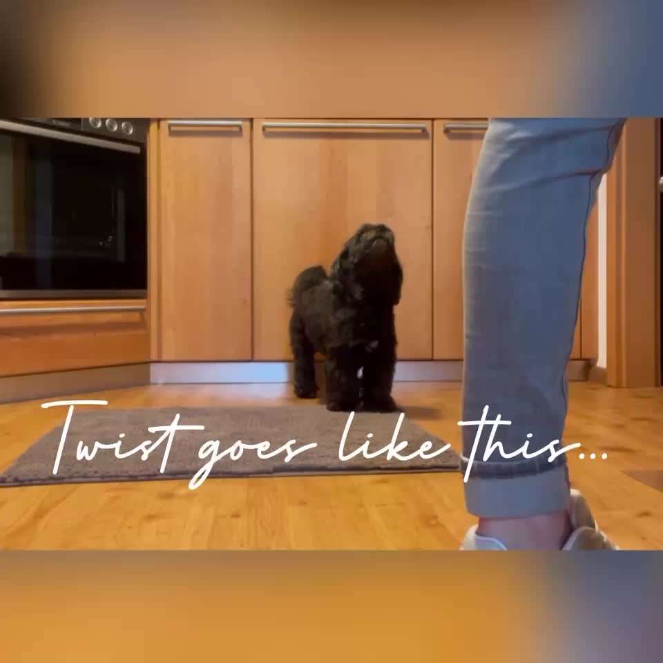 Trick Challenge Nr. 29 ,,TWIST"-Beitrag-Bild